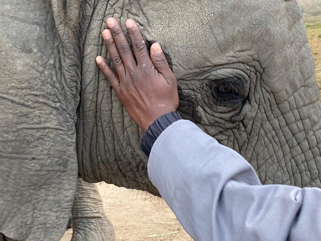 PHOTO-2020-05-28-13-10-51-1