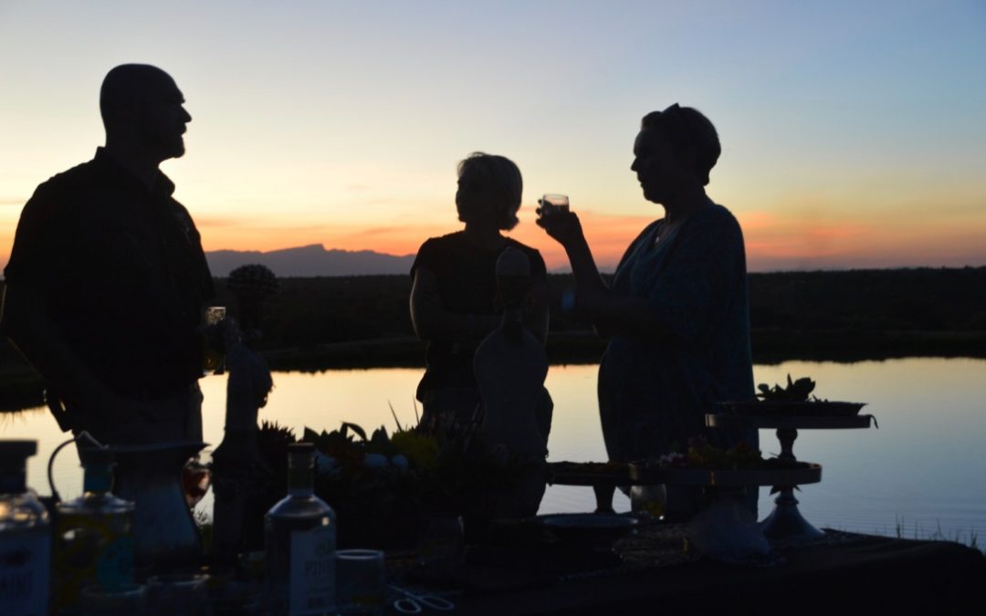 What it Takes to Care for Baby Elephants: #5 Teamwork