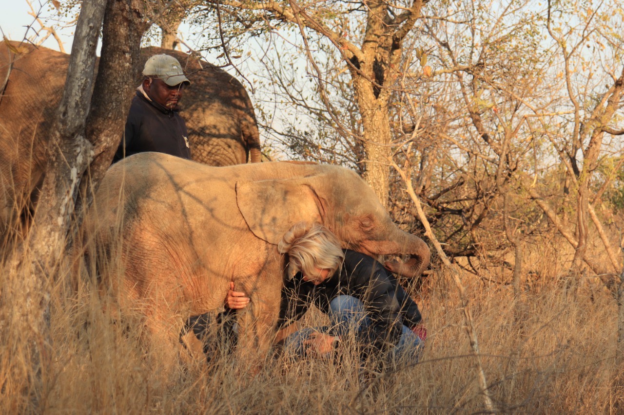 Fundraiser with GivenGain