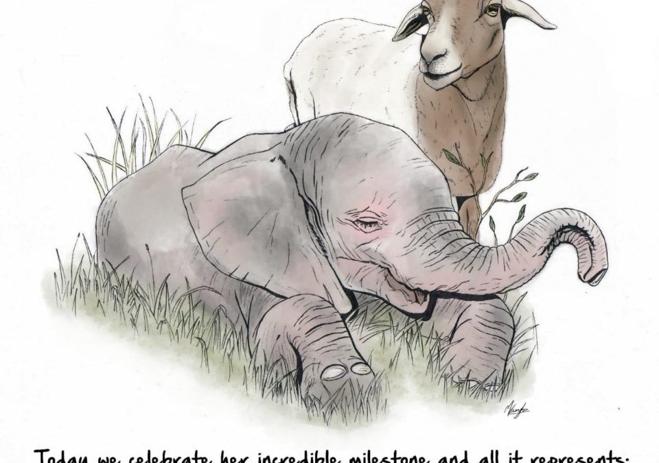 Khanyisa Turns One! Happy Birthday, Braveheart!