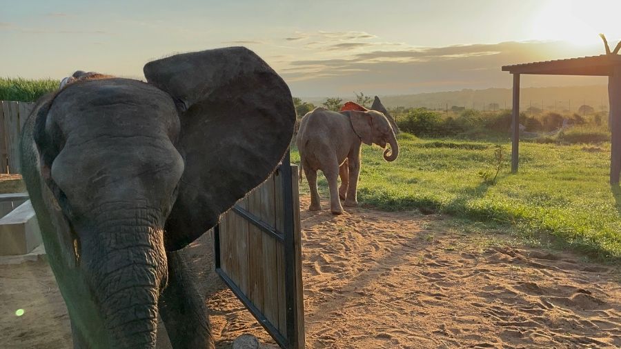 The Beauty of Sustainable Living – The Wormery Project at HERD