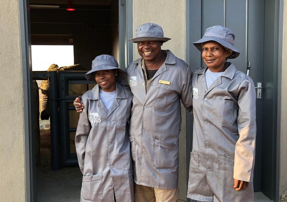 An Inspiring Q&A with Wildlife Vet, Dr Peter Rogers