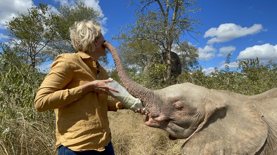 What it Takes to Care for Baby Elephants:  #1 Stimulation