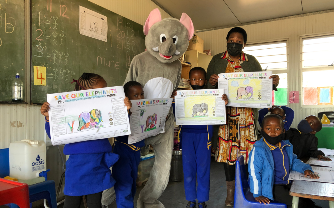 Growing our HERD – With Mpisi Primary School