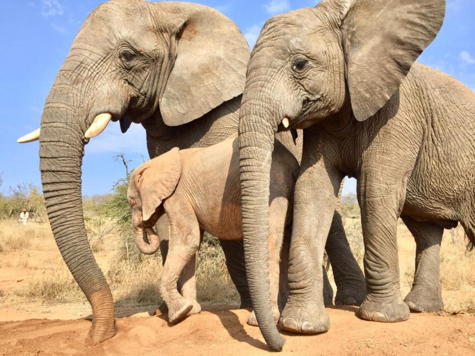 Jabulani’s Journey & Bond with Khanyisa