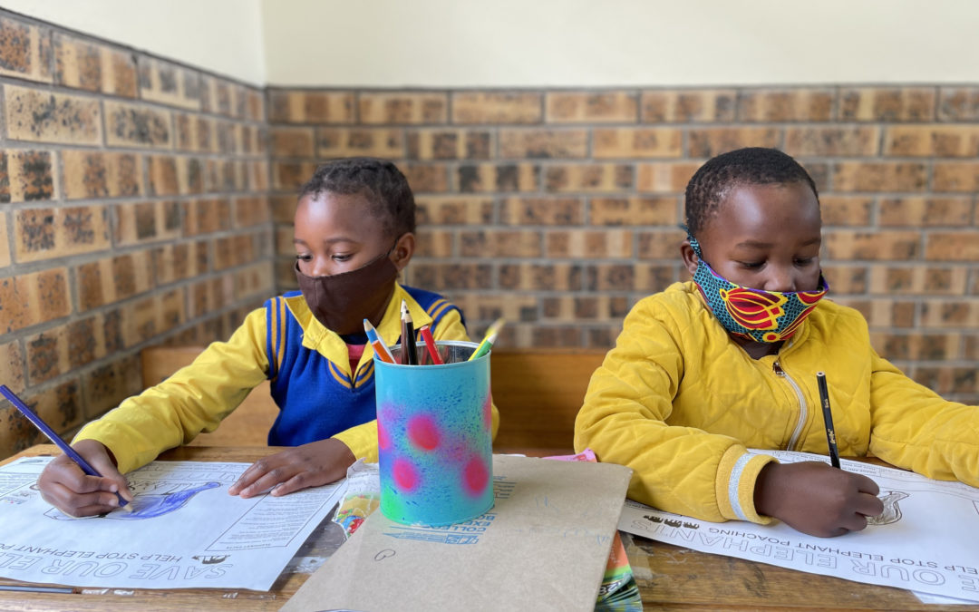 Exciting Elephant Art Projects at our partner Mpisi Primary School