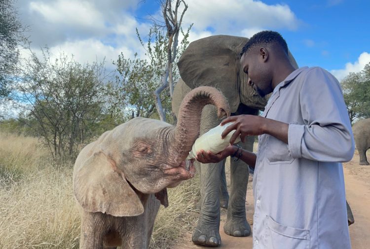 IMG_9198-scaled-e1634798497981