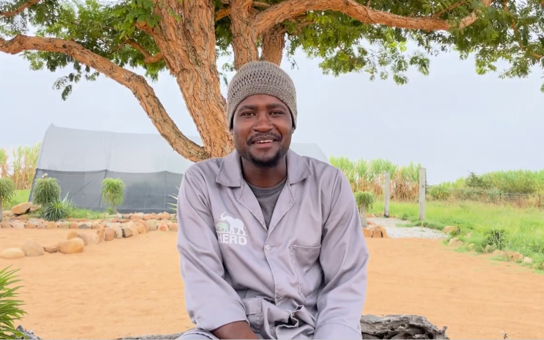 Introducing New HERD Elephant Orphanage Carer, Willinton