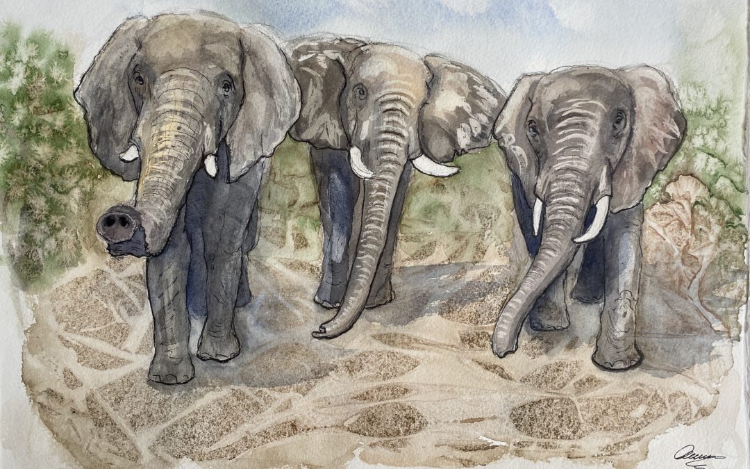 Trunkfuls of Art – A HERD Elephant Art Competition