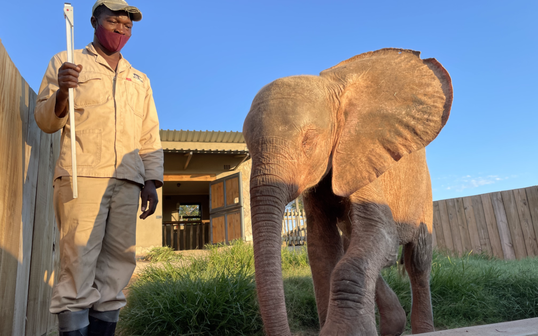 Khanyisa’s Great & Growing Feet #KhanyisaGoingOnTwo