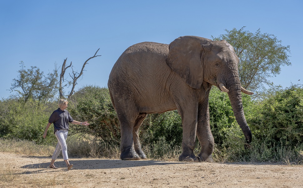 The Making of a Sustainable HERD | Through Conservation