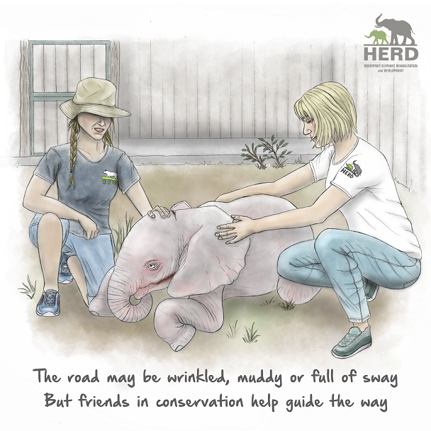 3Careforthewildfinallow