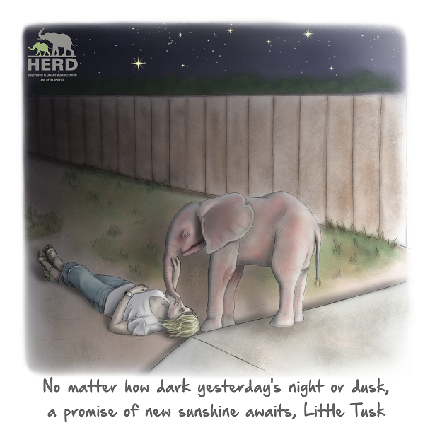 Wisdom 04 – No matter how dark yesterday’s night or dusk, a promise of new sunshine awaits, Little Tusk.