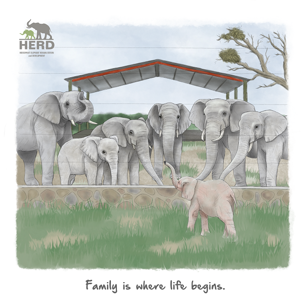 Wisdom 05 – Family is where life begins.