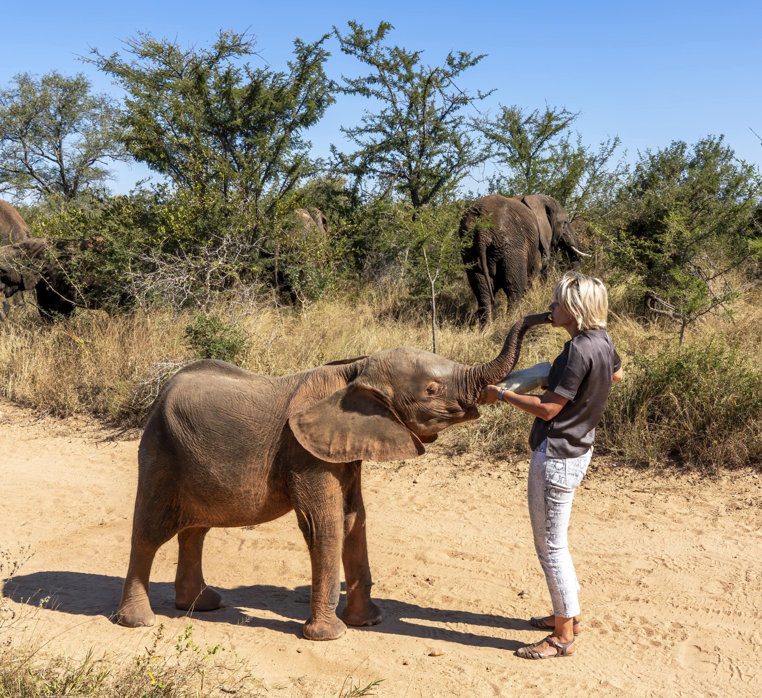 Adine and Khanyisa bottle-min