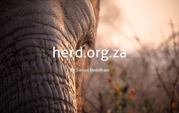 A moment of peace – By Simon Needham