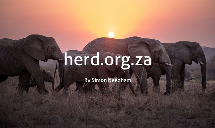 A walk with the elephants – by Simon Needham