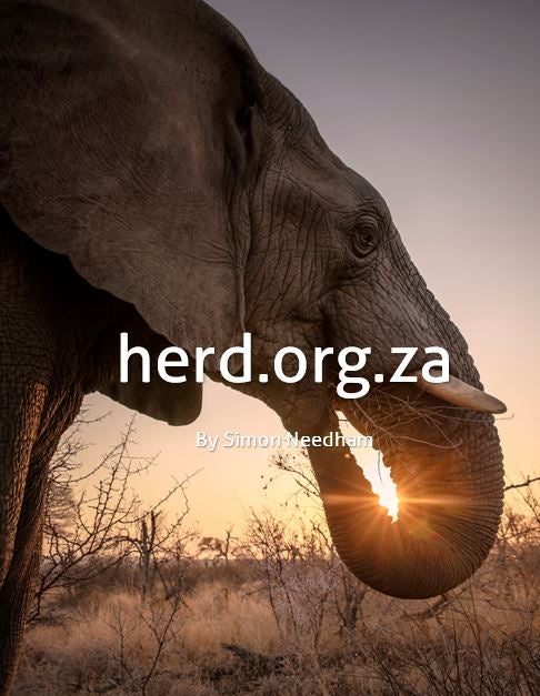 Bubi’s son, Zindoga – by Simon Needham