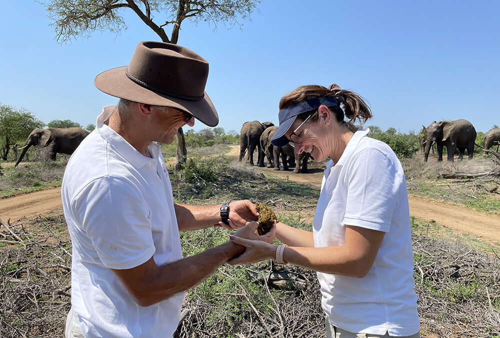 The Art of Elephant Dung Collection | The Making of Elephant Dung Gin