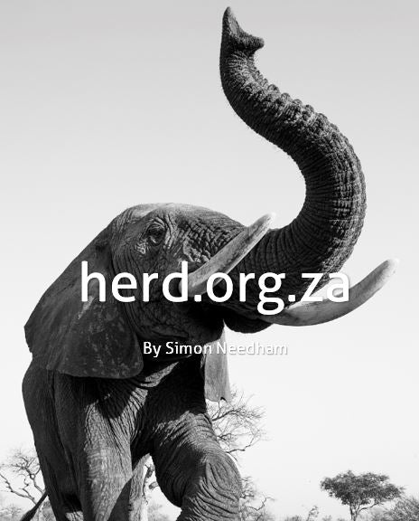 Somopane Trunk Salute – by Simon Needham