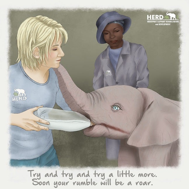 Wisdom 07 – Try and try and try a little more. Soon your rumble will be a roar.