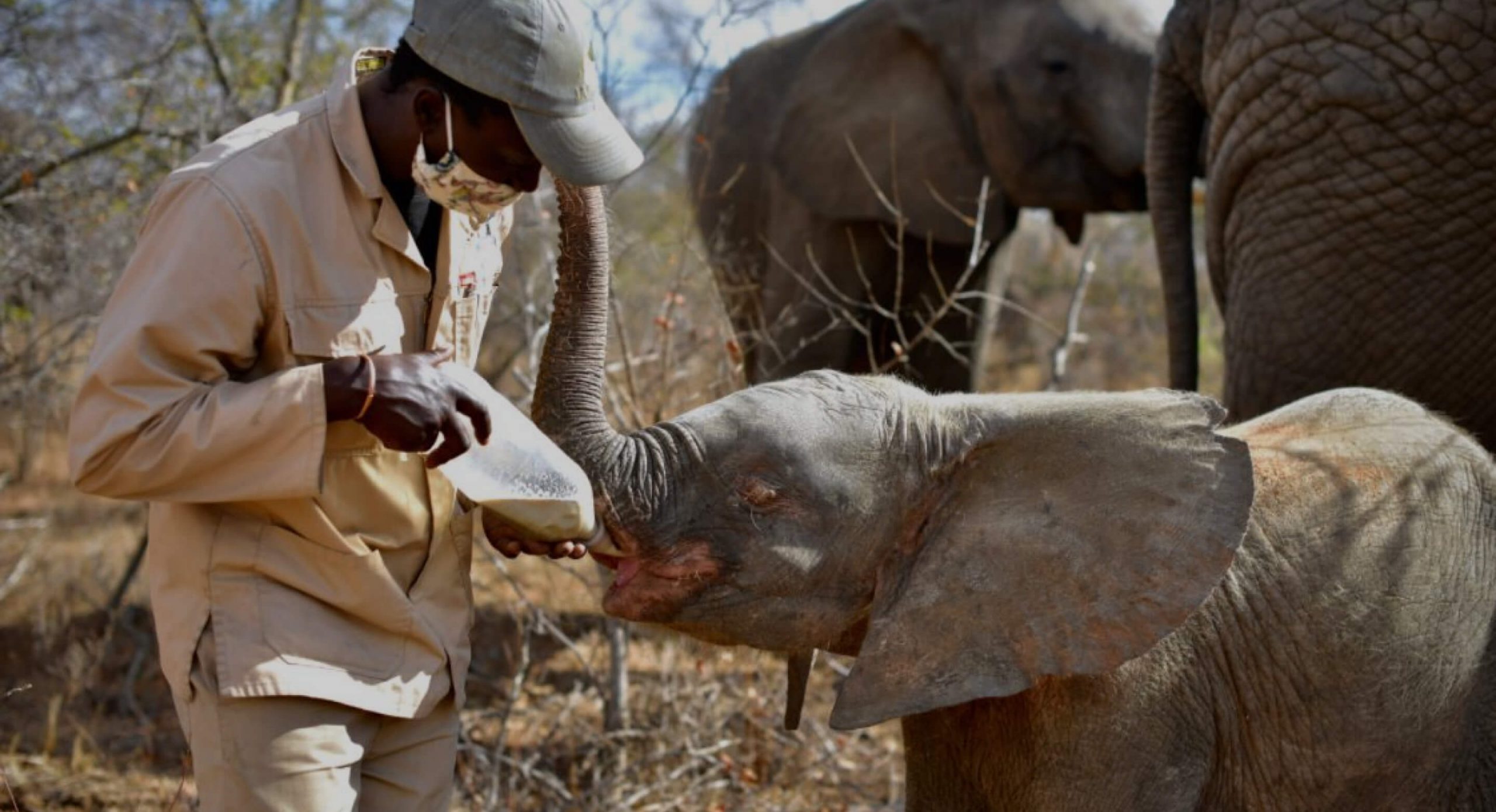 digital-prints-banner