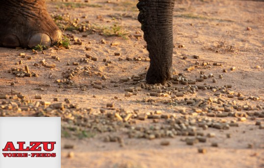 *Elephant Feed – Alzu Game Pellets: 1 x 40kg bag