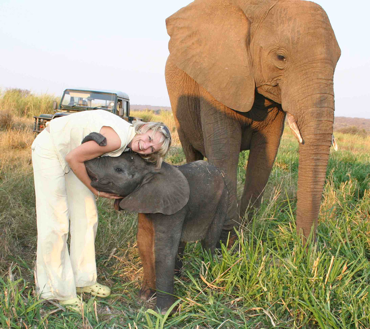 Adine’s Love Letter to the Elephant Moms