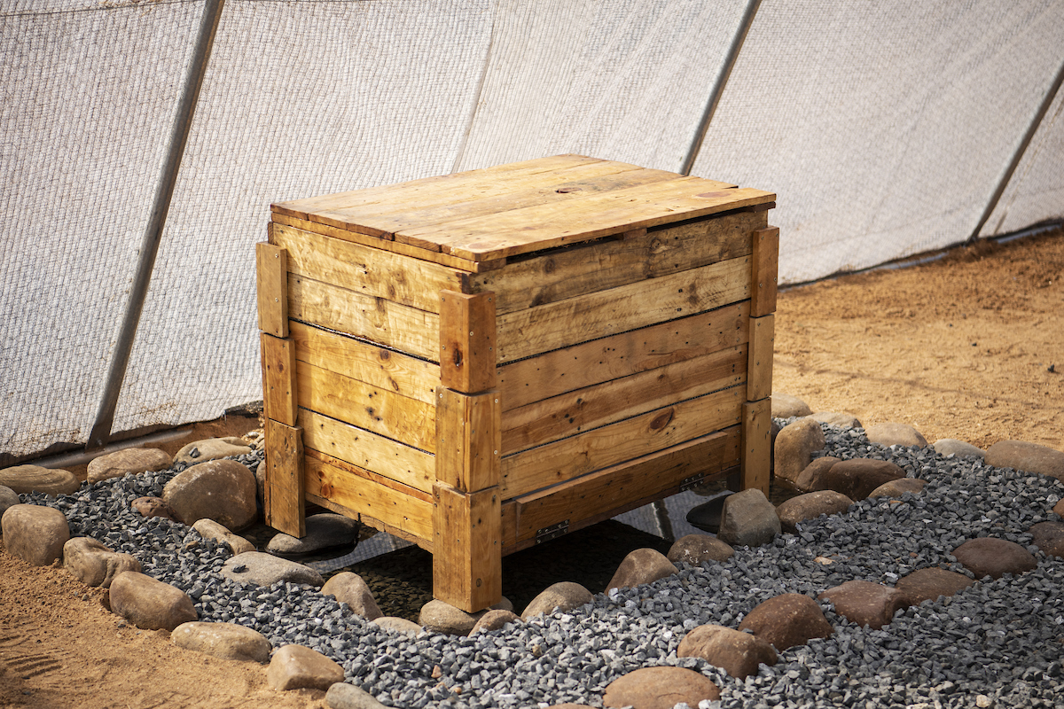 Aquaponics and worm farm_003_DSC_1152