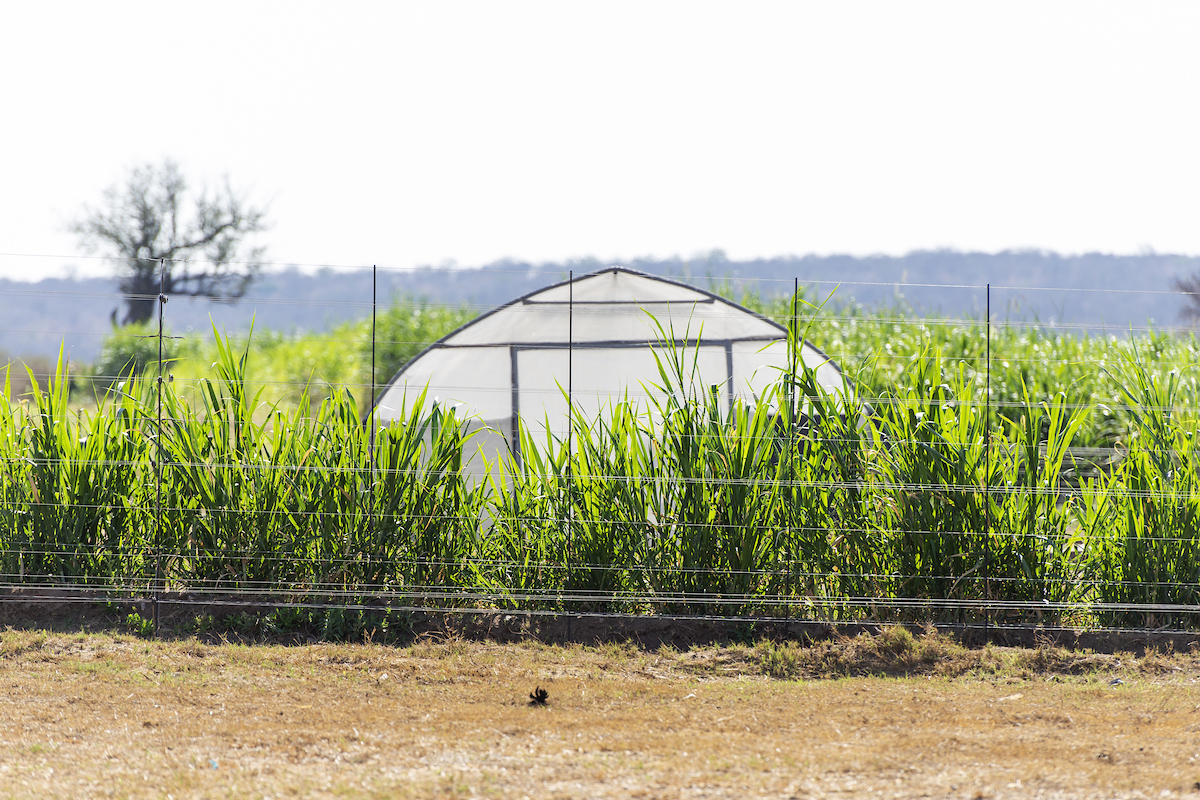 Aquaponics and worm farm_008_LKH_1997