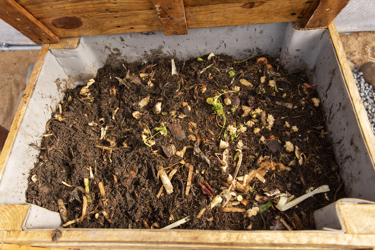 Aquaponics and worm farm_061_DSC_5650
