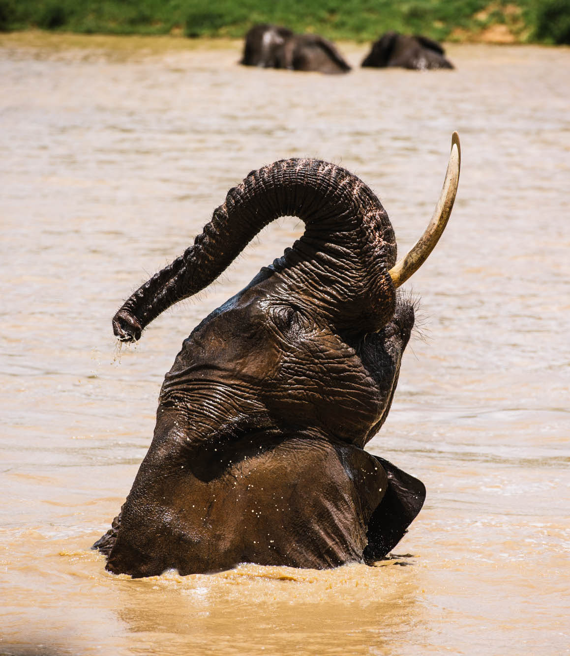 BBEAN GARY VAN WYK GVW_4773 copy