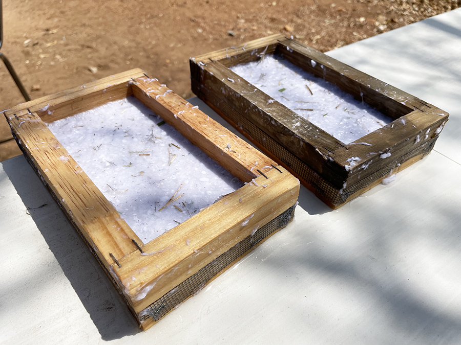 Elephant-Dung-paper-2