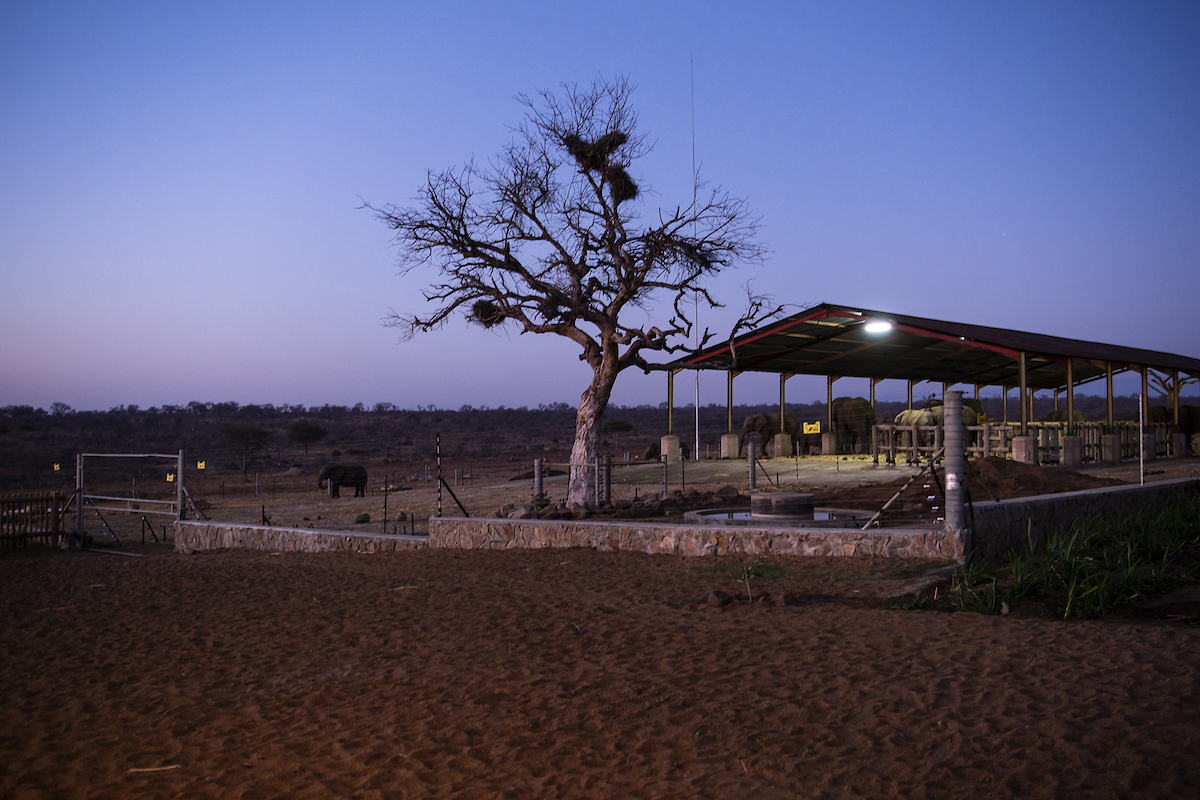 Jabulani_Stables_059_DSC_3145