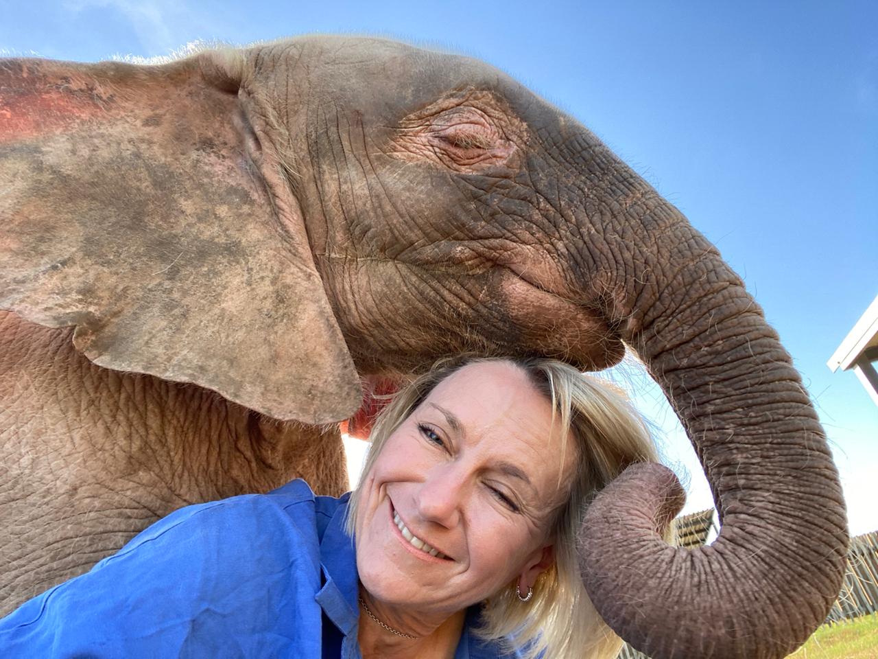 Lessons From Women Who Walk With Elephants