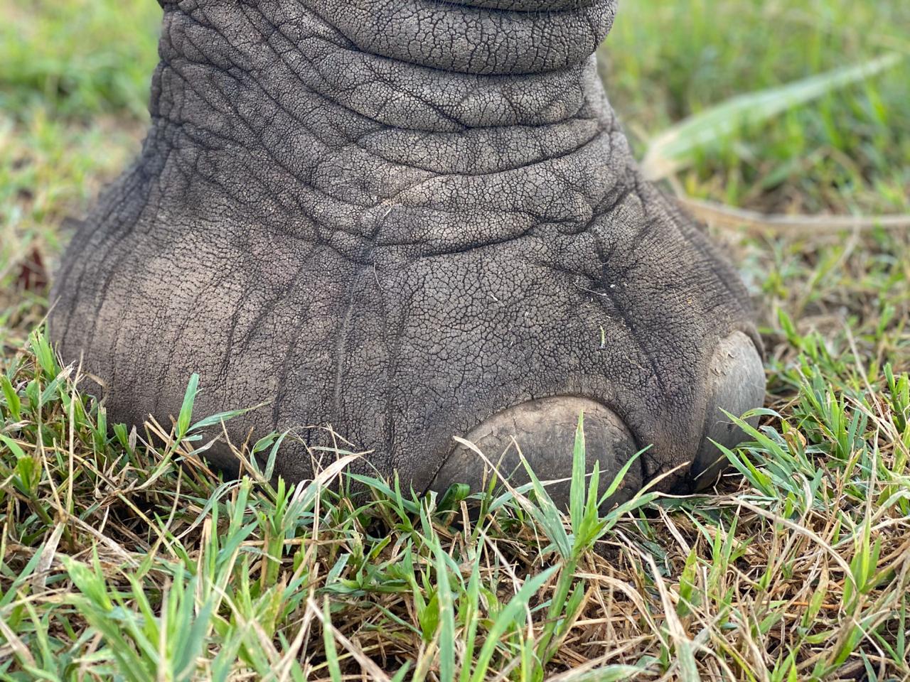 PHOTO-2020-04-17-18-56-45 (1)