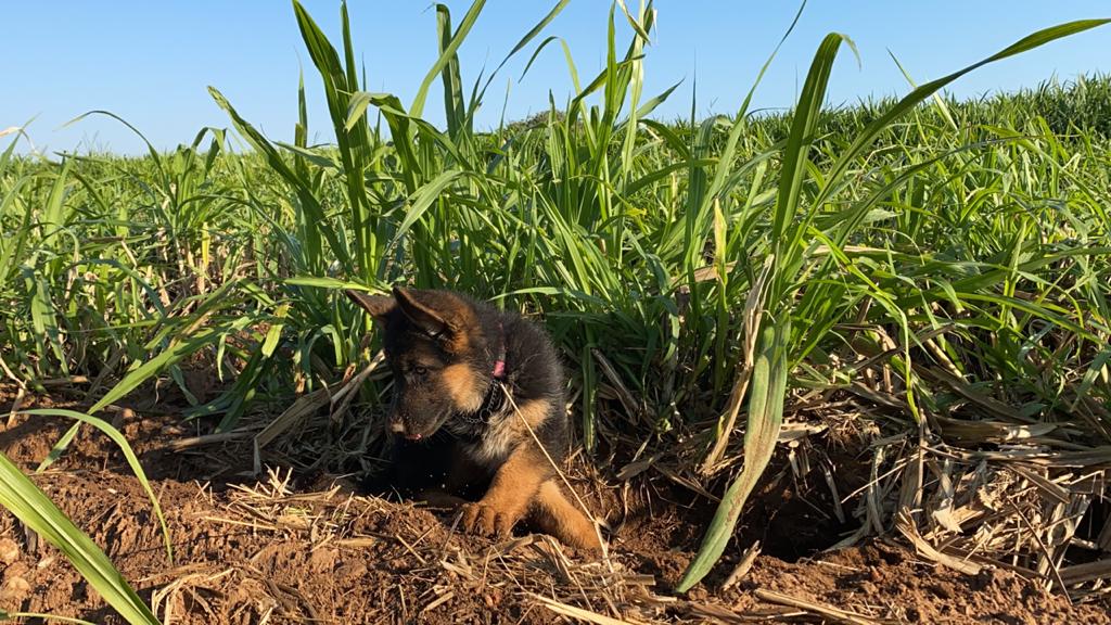 PHOTO-2020-07-02-10-10-20