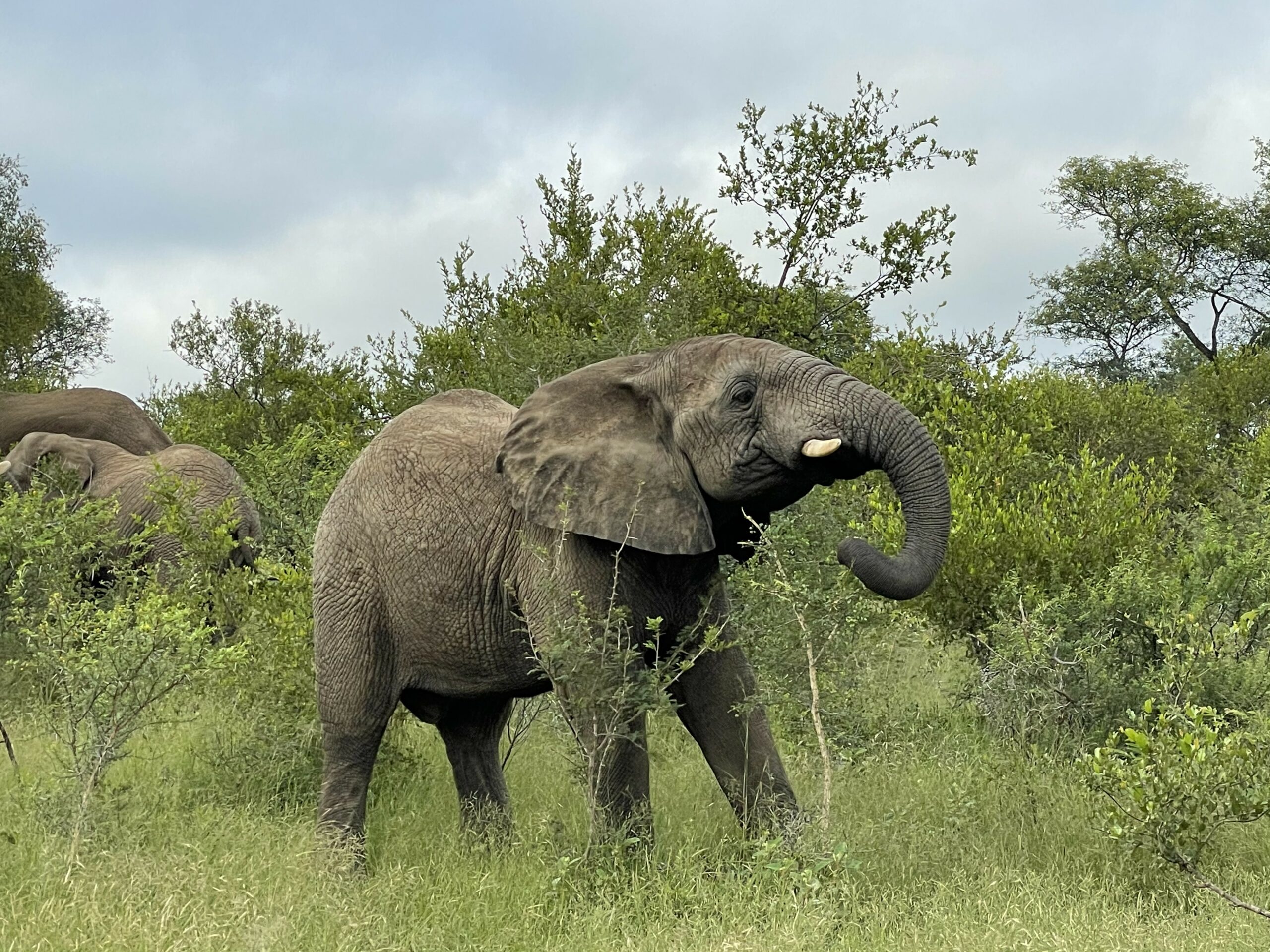 Zindoga: A father in the making | #FathersDay2021