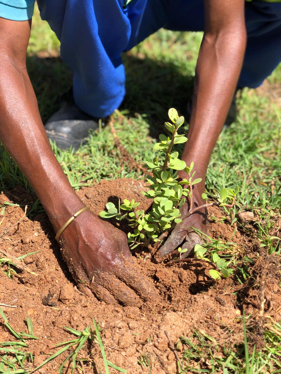 f84f091a-94c6-48d0-8ea0-34105c6301a7