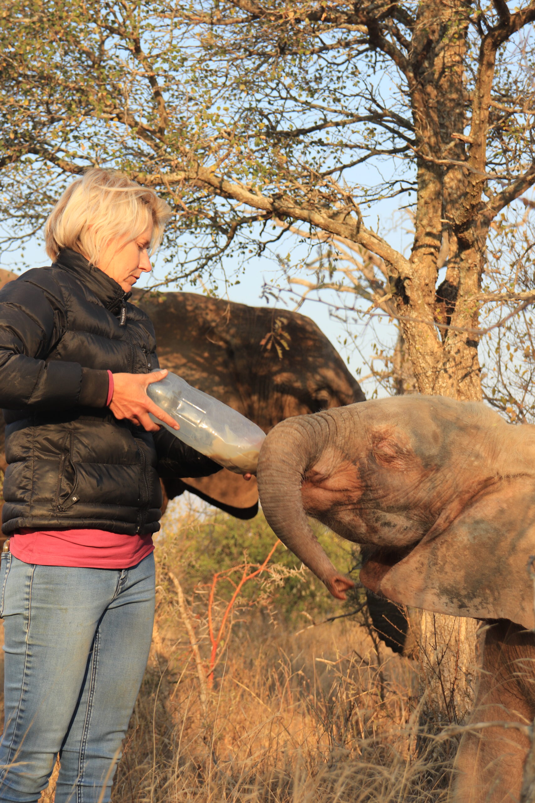 Khanyisa June Liz Burchmore (3)