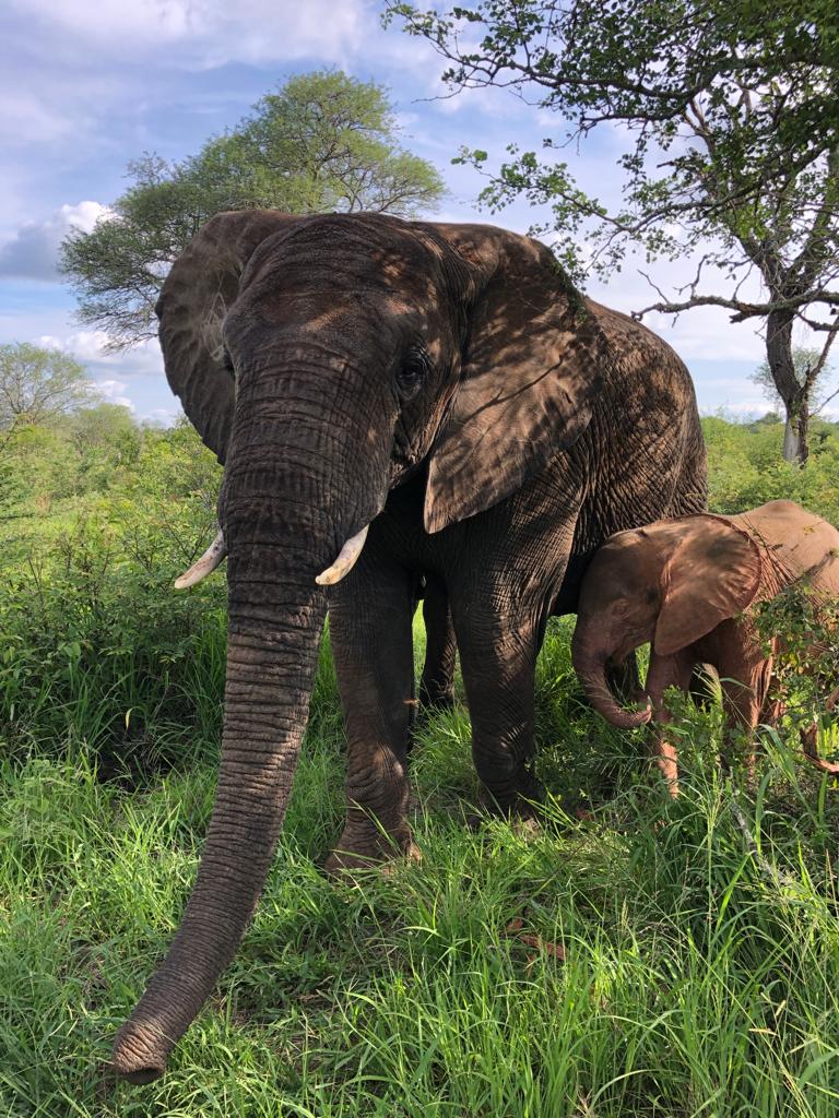 Photo 2022-01-06, 18 10 18 (3)