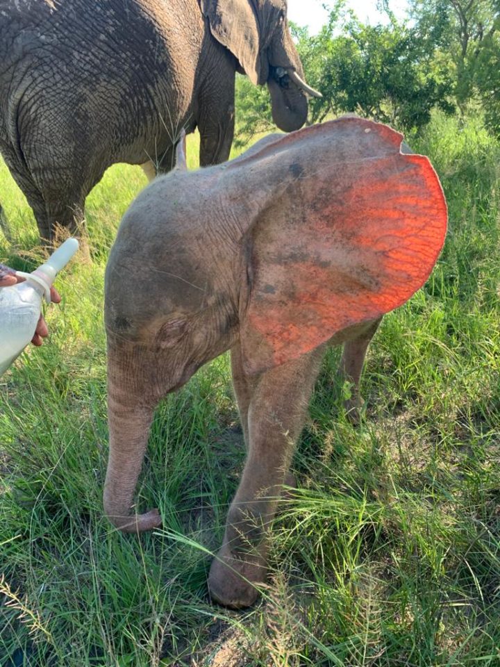 Khanyisa-Jan-2021-1-720x960-1