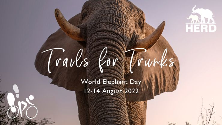 Trails for Trunks | A HERD World Elephant Day Event