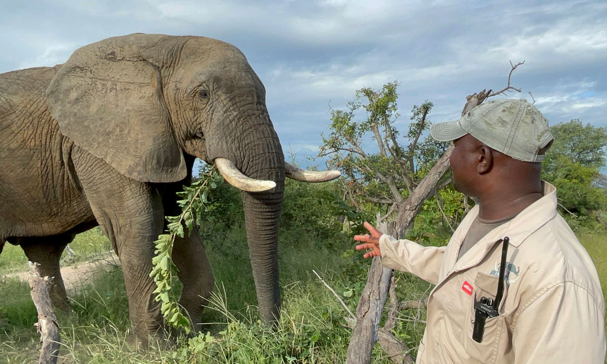 Meet the HERD Elephant Carers