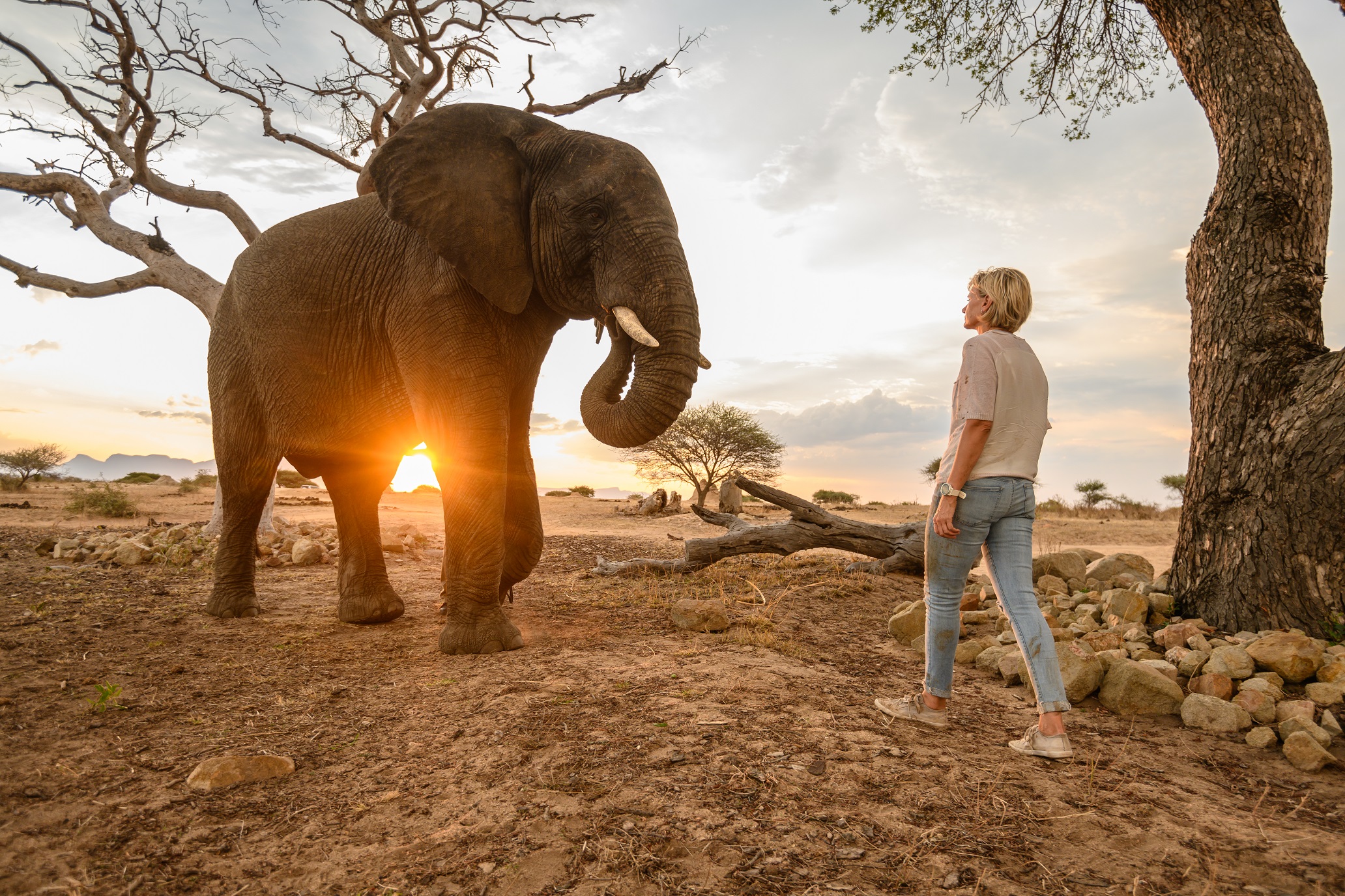 A Letter from Adine on World Elephant Day