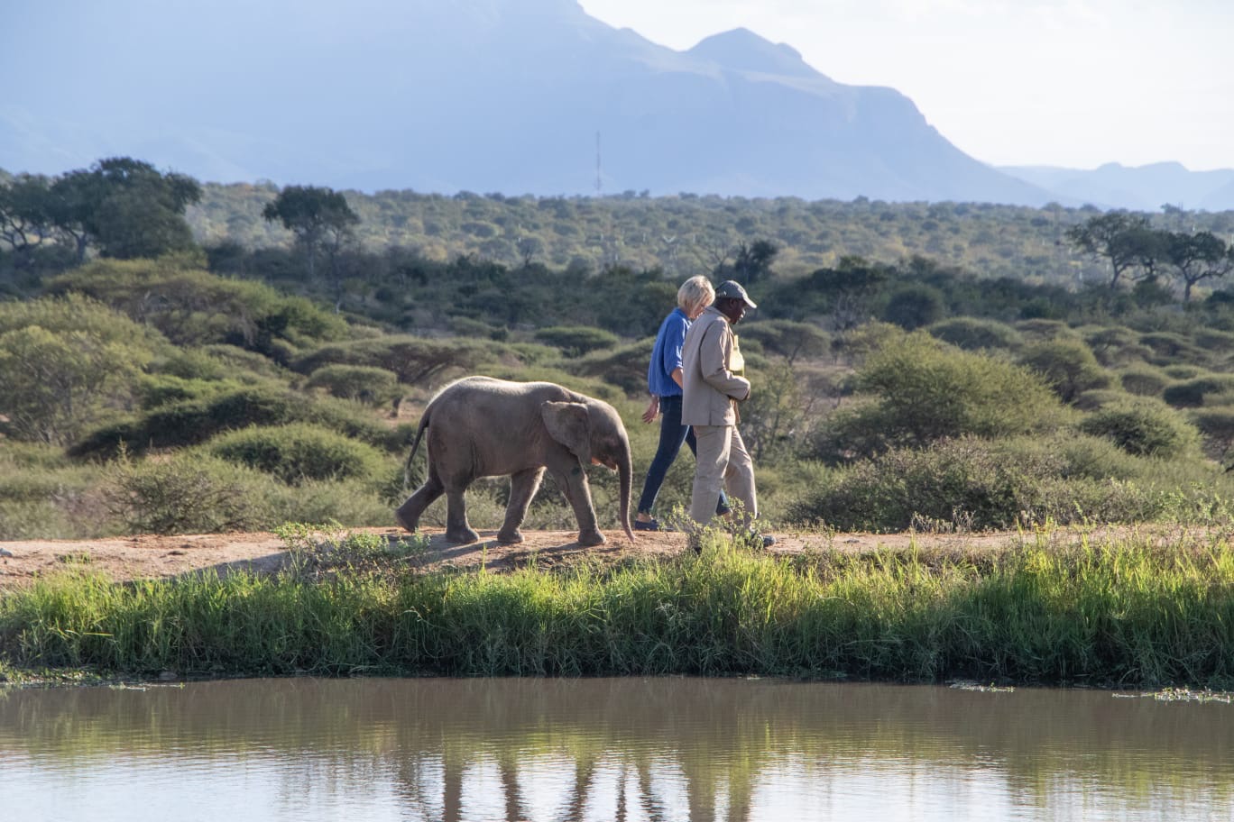 Walking With Elephants | A Letter From Adine