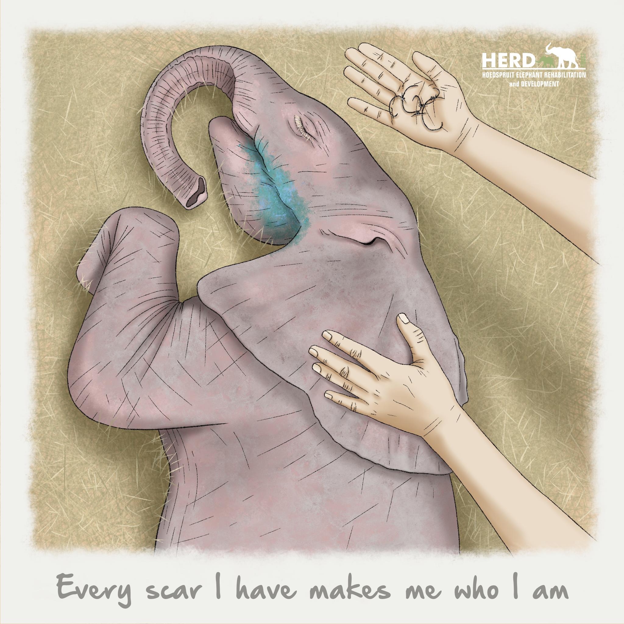 Wisdom 12 – Every scar I have makes me who I am.