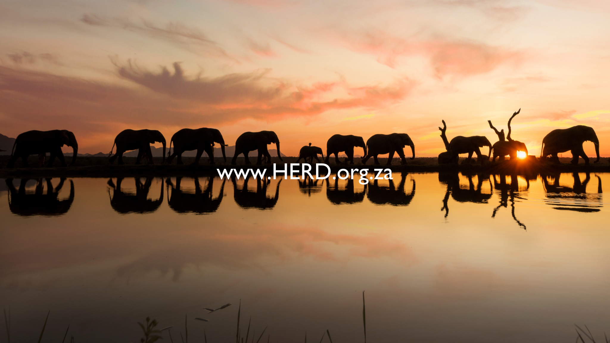 Untitled design (21)