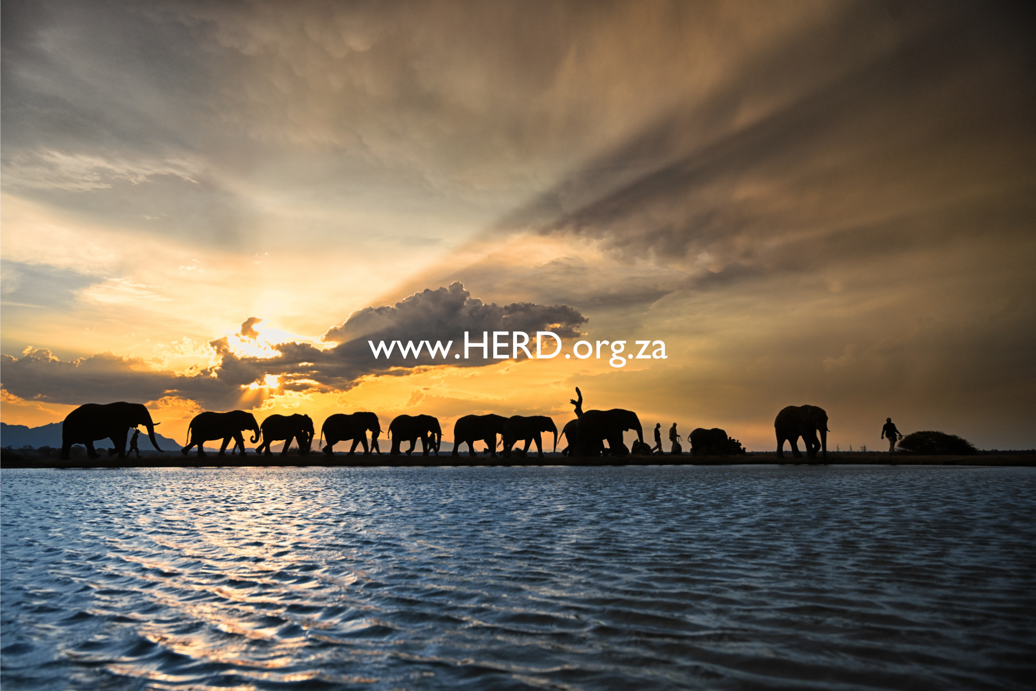 Untitled design (22)