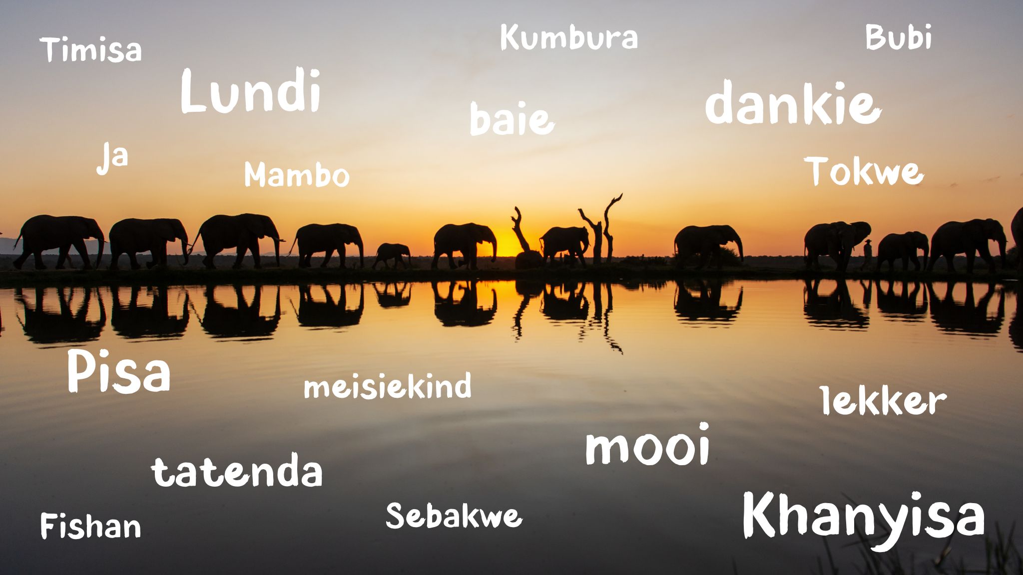 These Are Our Favourite HERD Words